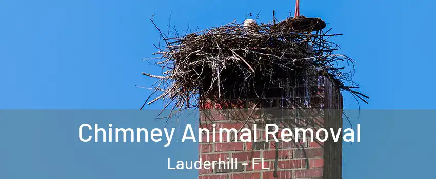 Chimney Animal Removal Lauderhill - FL