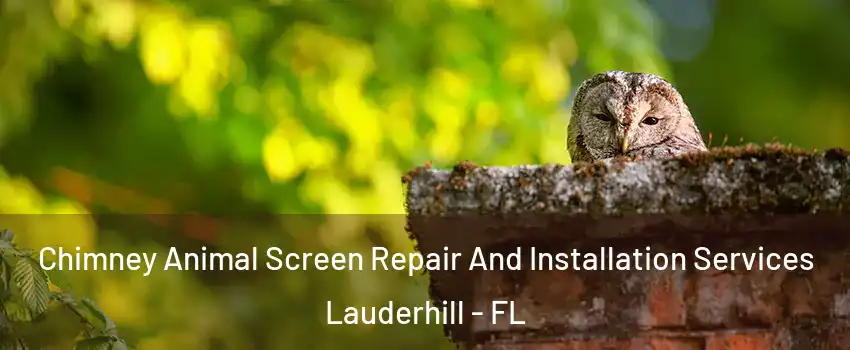  Chimney Animal Screen Repair And Installation Services Lauderhill - FL