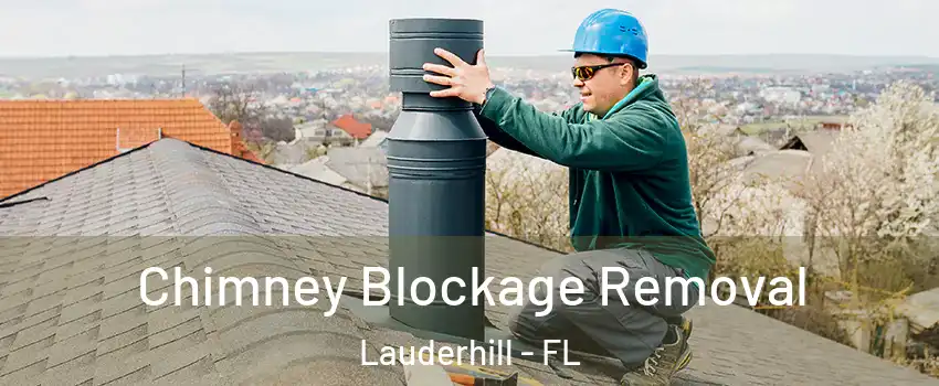 Chimney Blockage Removal Lauderhill - FL