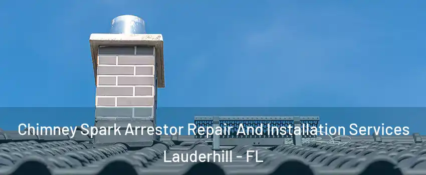  Chimney Spark Arrestor Repair And Installation Services Lauderhill - FL