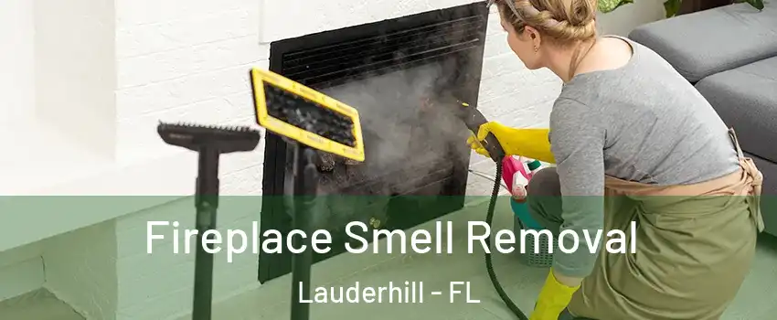  Fireplace Smell Removal Lauderhill - FL