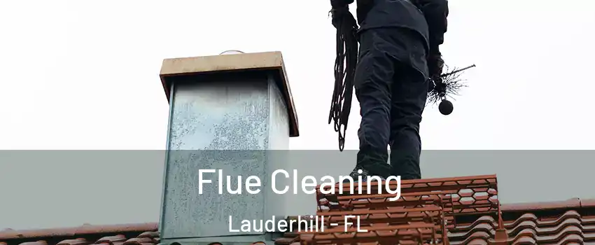  Flue Cleaning Lauderhill - FL