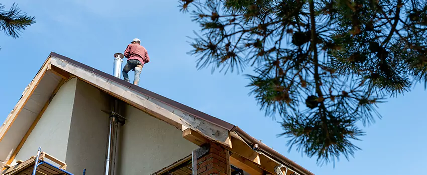 Birds Removal Contractors from Chimney in Lauderhill, FL