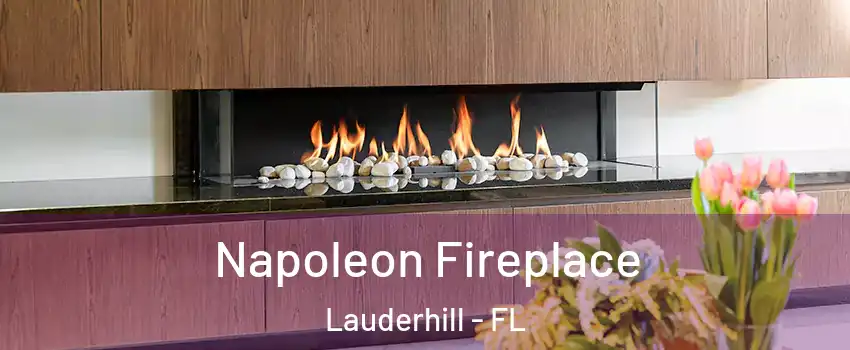  Napoleon Fireplace Lauderhill - FL